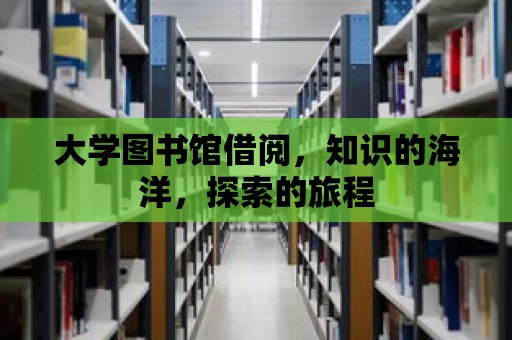 大學圖書館借閱，知識的海洋，探索的旅程