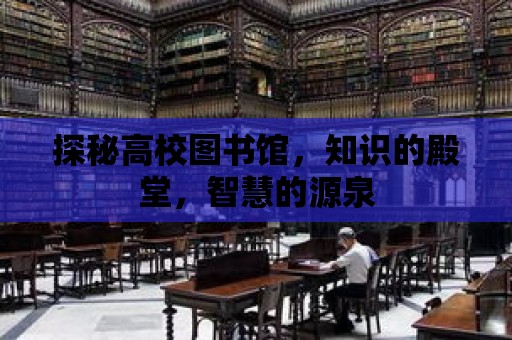 探秘高校圖書館，知識的殿堂，智慧的源泉