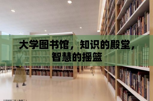 大學(xué)圖書館，知識(shí)的殿堂，智慧的搖籃