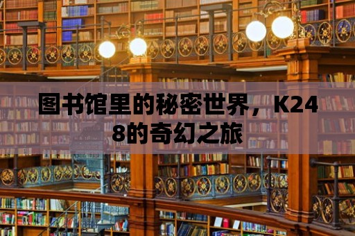 圖書館里的秘密世界，K248的奇幻之旅