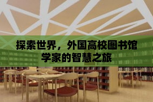 探索世界，外國高校圖書館學家的智慧之旅