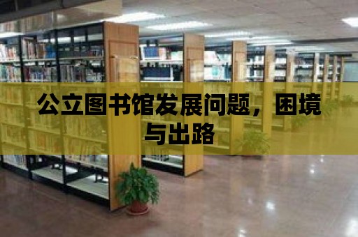 公立圖書館發展問題，困境與出路