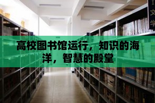 高校圖書館運行，知識的海洋，智慧的殿堂