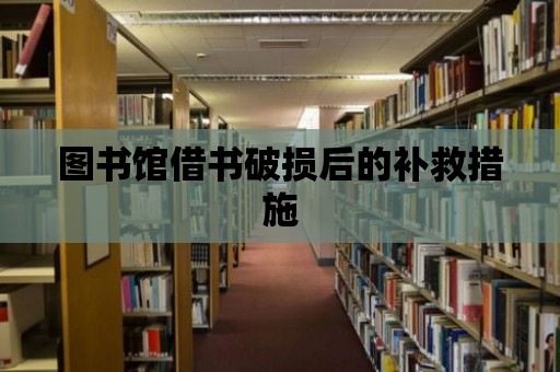 圖書館借書破損后的補救措施