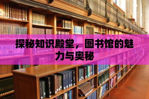 探秘知識殿堂，圖書館的魅力與奧秘