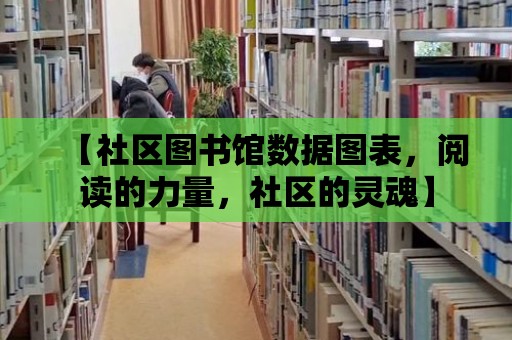 【社區圖書館數據圖表，閱讀的力量，社區的靈魂】