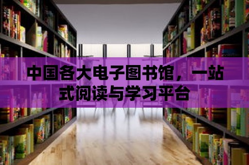 中國各大電子圖書館，一站式閱讀與學習平臺