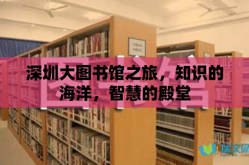 深圳大圖書館之旅，知識的海洋，智慧的殿堂