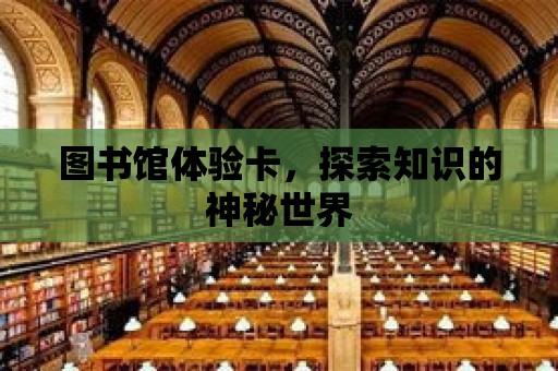 圖書館體驗卡，探索知識的神秘世界