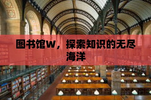 圖書館W，探索知識的無盡海洋