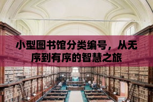 小型圖書館分類編號，從無序到有序的智慧之旅