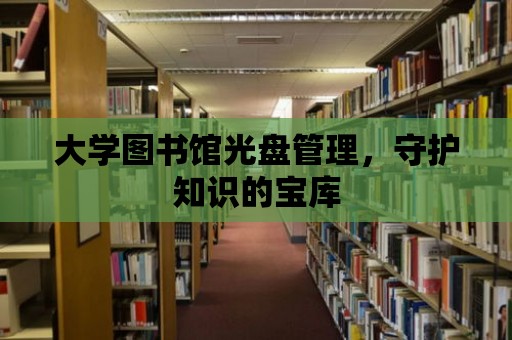 大學(xué)圖書館光盤管理，守護知識的寶庫