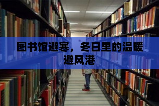 圖書館避寒，冬日里的溫暖避風港