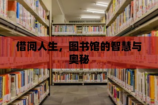 借閱人生，圖書館的智慧與奧秘