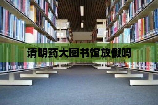 清明藥大圖書館放假嗎