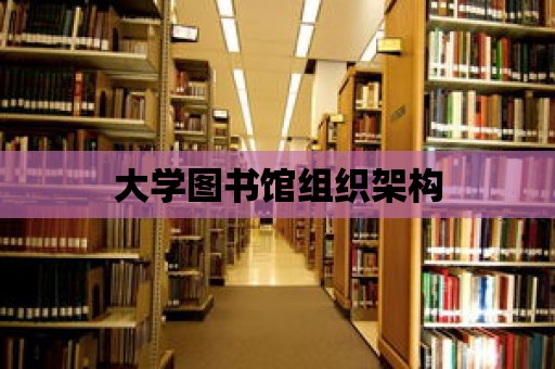 大學圖書館組織架構