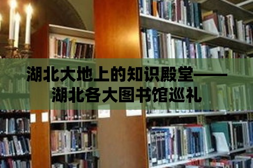 湖北大地上的知識殿堂——湖北各大圖書館巡禮