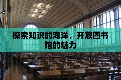 探索知識的海洋，開放圖書館的魅力