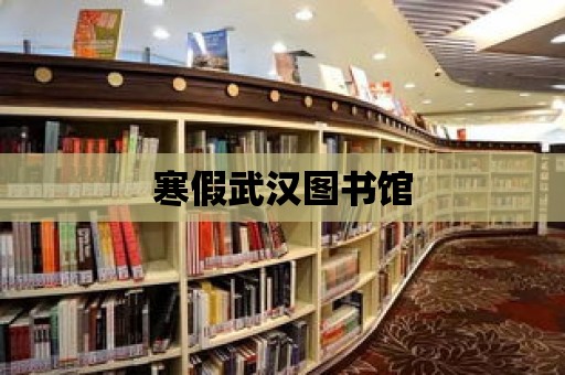 寒假武漢圖書館