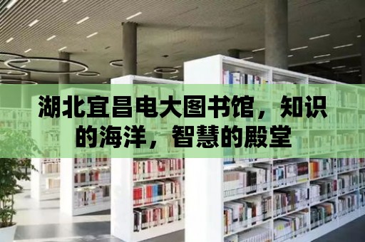 湖北宜昌電大圖書館，知識的海洋，智慧的殿堂