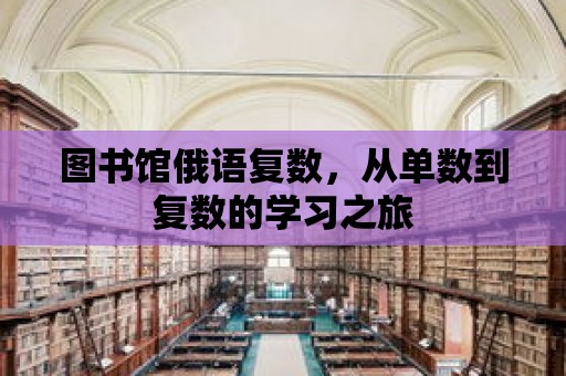 圖書館俄語復數，從單數到復數的學習之旅