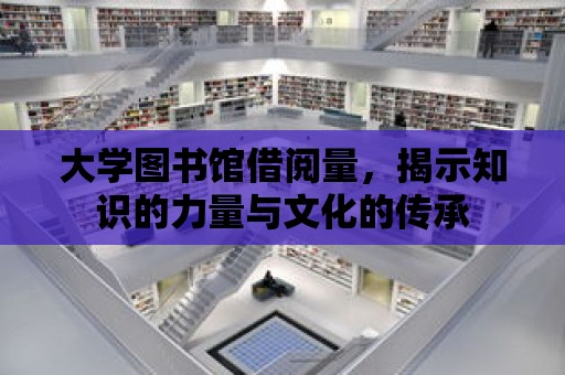 大學圖書館借閱量，揭示知識的力量與文化的傳承