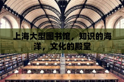 上海大型圖書館，知識的海洋，文化的殿堂