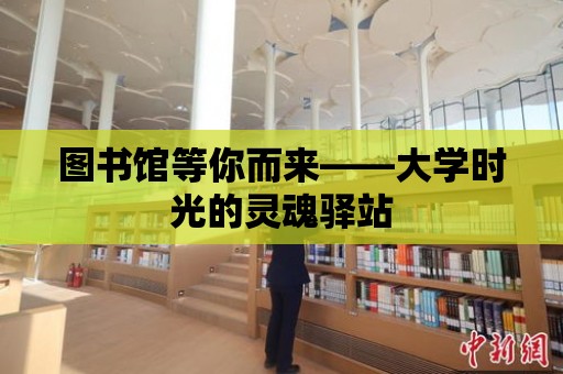 圖書館等你而來——大學時光的靈魂驛站