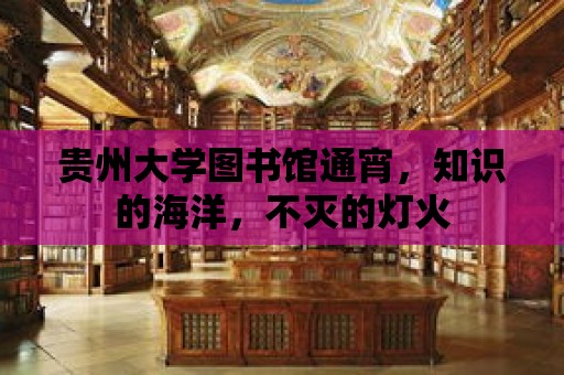 貴州大學圖書館通宵，知識的海洋，不滅的燈火