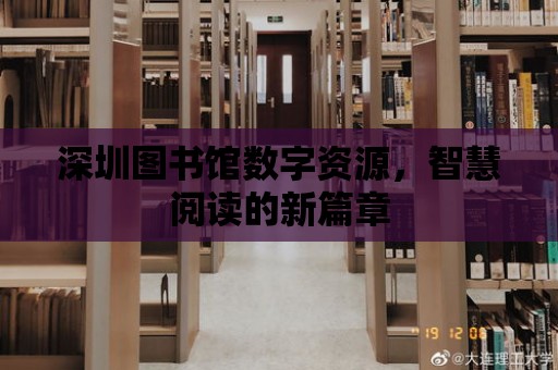 深圳圖書館數字資源，智慧閱讀的新篇章