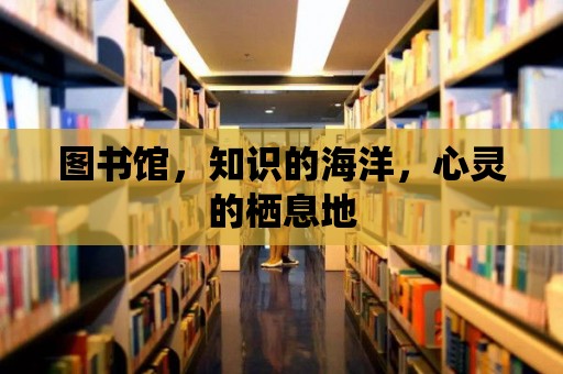 圖書館，知識的海洋，心靈的棲息地