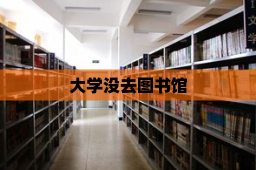 大學沒去圖書館