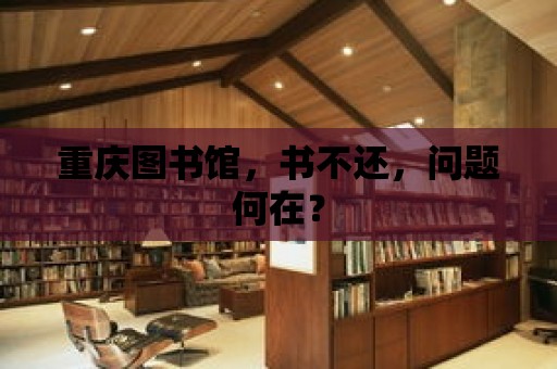 重慶圖書館，書不還，問題何在？