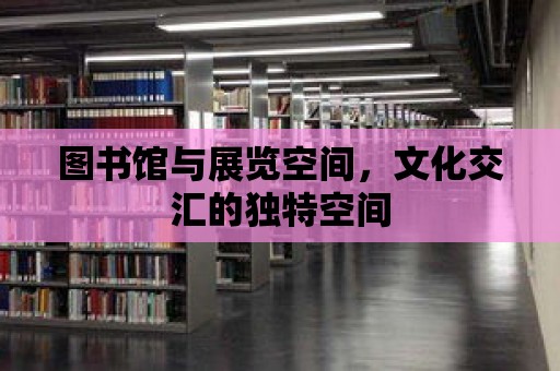 圖書館與展覽空間，文化交匯的獨特空間