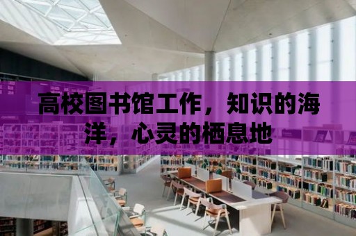 高校圖書館工作，知識的海洋，心靈的棲息地