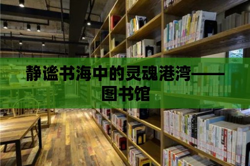 靜謐書海中的靈魂港灣——圖書館