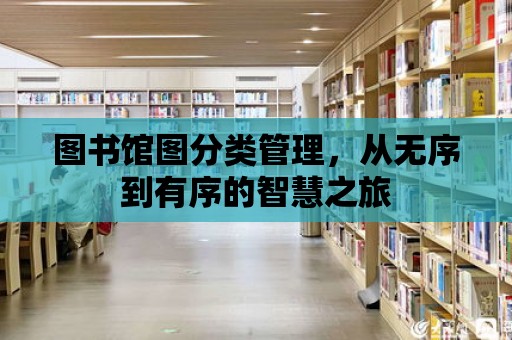 圖書館圖分類管理，從無序到有序的智慧之旅