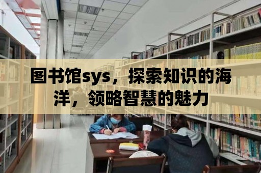 圖書館sys，探索知識的海洋，領略智慧的魅力