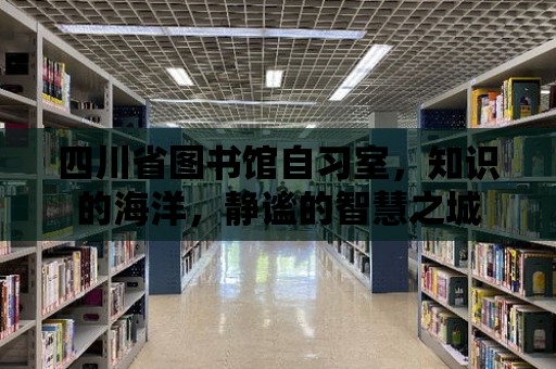 四川省圖書館自習室，知識的海洋，靜謐的智慧之城