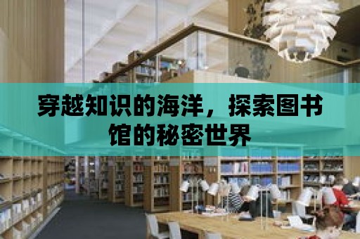 穿越知識的海洋，探索圖書館的秘密世界