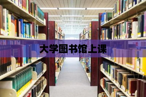 大學(xué)圖書館上課