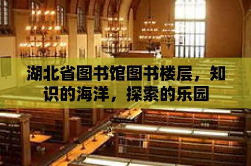 湖北省圖書館圖書樓層，知識的海洋，探索的樂園