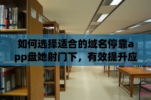 如何選擇適合的域名停靠app盤她射門下，有效提升應(yīng)用程序的訪問量