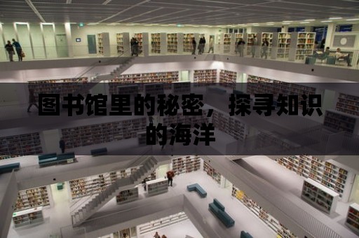 圖書館里的秘密，探尋知識的海洋