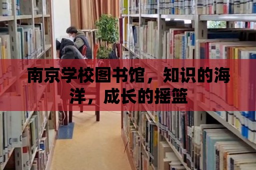 南京學(xué)校圖書館，知識(shí)的海洋，成長的搖籃