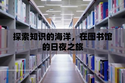 探索知識的海洋，在圖書館的日夜之旅