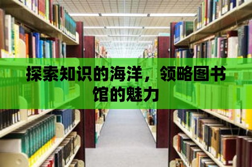 探索知識的海洋，領略圖書館的魅力