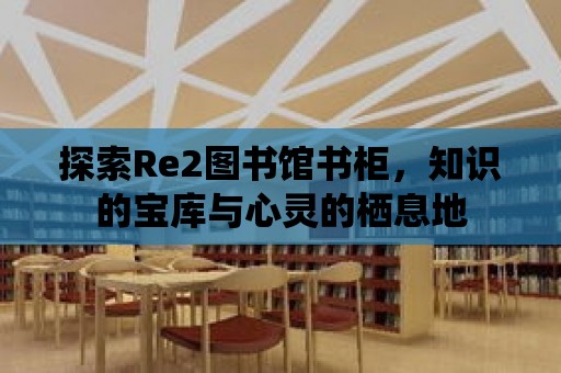 探索Re2圖書館書柜，知識的寶庫與心靈的棲息地