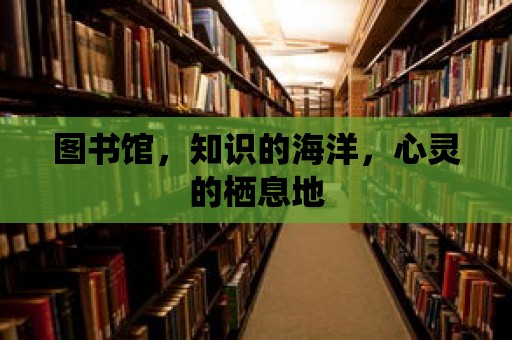 圖書館，知識的海洋，心靈的棲息地