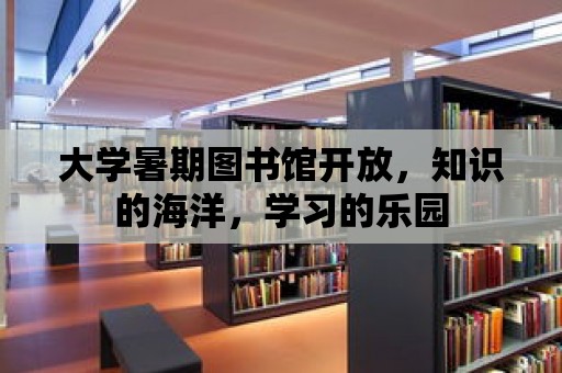 大學暑期圖書館開放，知識的海洋，學習的樂園